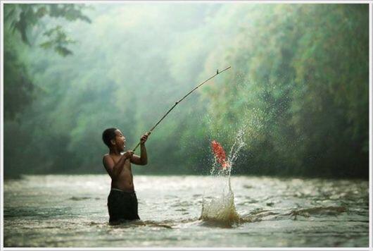 kumpulan foto moment yang WOW fotografer indonesia