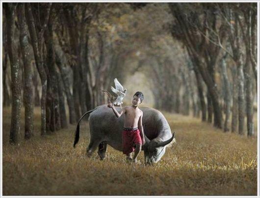 kumpulan foto moment yang WOW fotografer indonesia