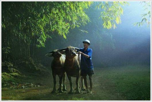 kumpulan foto moment yang WOW fotografer indonesia