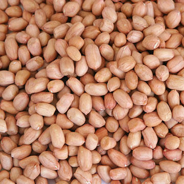 Agar Tak Loyo Seusai Rapat, Makanlah Makanan Ini!