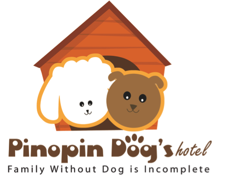 Cari Jual Pet Cargo Atau Kennel Box Untuk Anjing Kucing cari jual pet cargo atau kennel box untuk anjing kucing