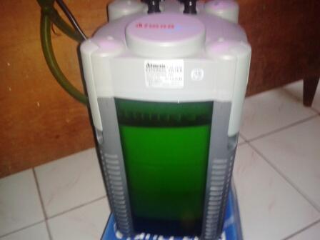 Filter aquarium bekas