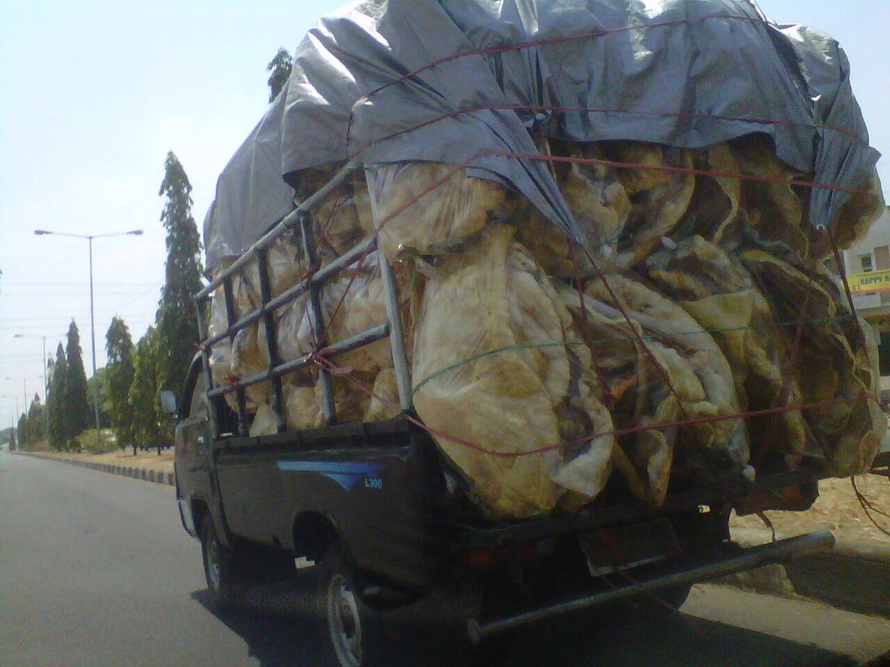 kerupuk segede pick-up