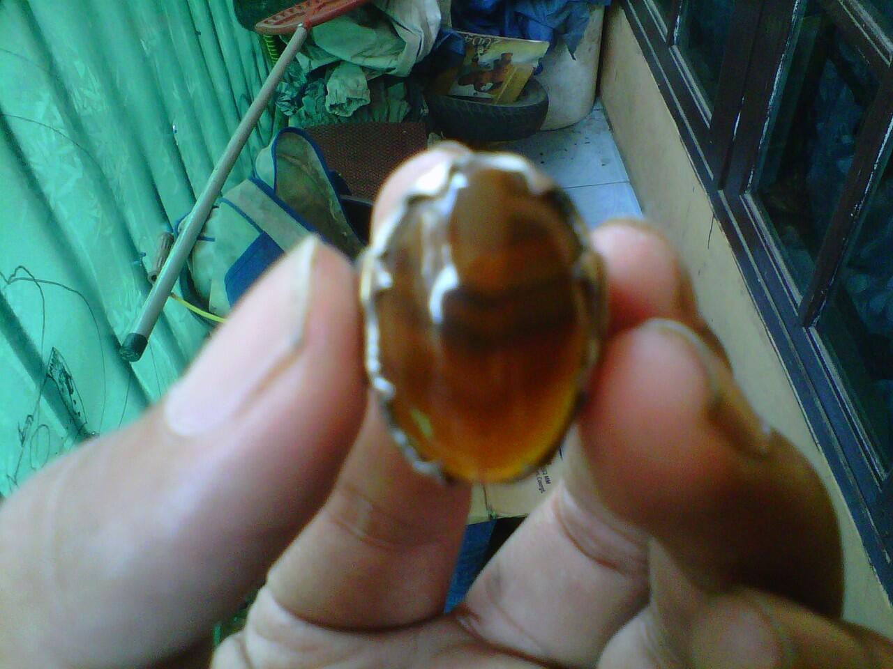 jual batu akik pandan nanas dan lain2