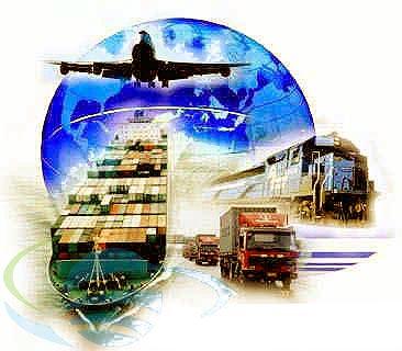 The Best of The best Cargo Import