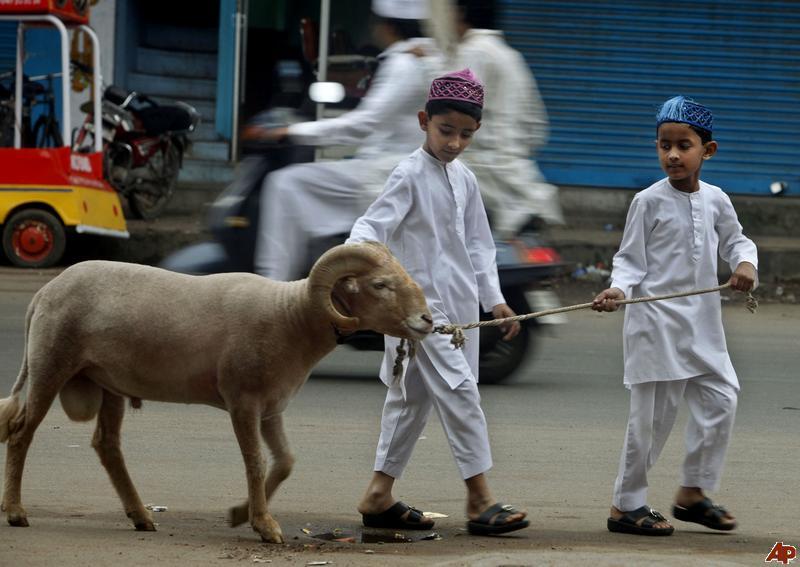 7 Hikmah dan Keutamaan Qurban ‘Idul Adha