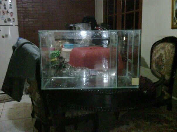 Akuarium Bekas Cupang Dan Lauhan
