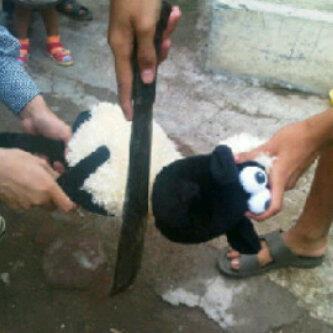 Ane mau Kurban Kambing tp anak2 tetangga pada nangis gan