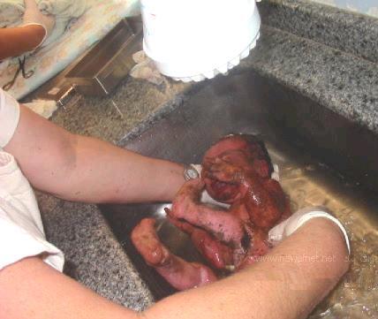 Amazing ! Bayi Lahir Dari Dalam Tanah &#91;Pict&#93;