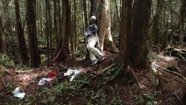 Kaki Gunung Fuji, Lokasi Bunuh Diri Terpopuler