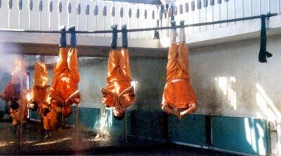 FOTO KEHIDUPAN NYATA PARA SHAOLIN !! CEKIDOT BRO !!!