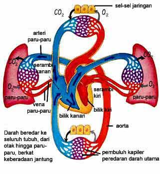 13 Fakta Unik Tentang Ulang Tahun &#91;Serba 13&#93;.