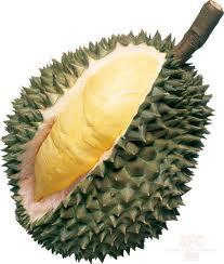 13 Jenis Durian Yang Ada Di Tanah Jawa ( Serba 13 )