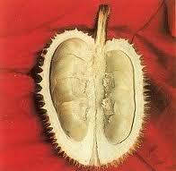 13 Jenis Durian Yang Ada Di Tanah Jawa ( Serba 13 )