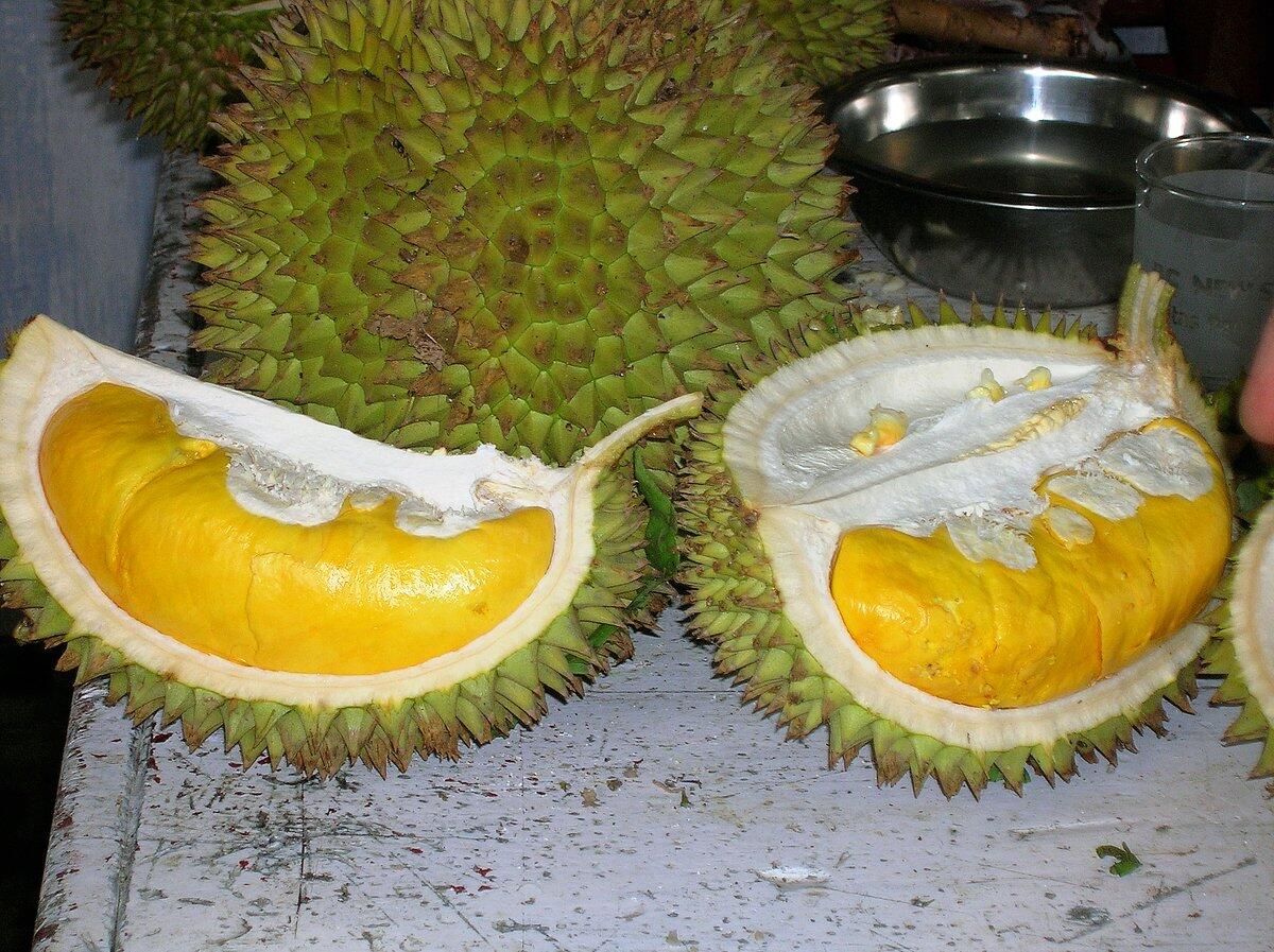 13 Jenis Durian Yang Ada Di Tanah Jawa Serba 13 Page 2 KASKUS