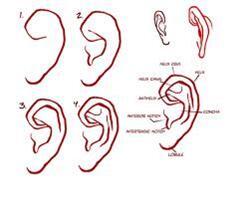 13 Jenis Sistem Identifikasi Yang Membedakan Manusia Dengan Manusia Lainya [Serba 13]