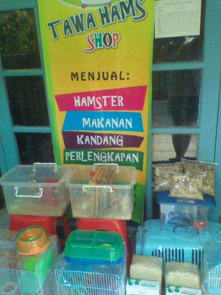 Jual Hamster & Perlengkapan (Juga Kandang Kelinci)