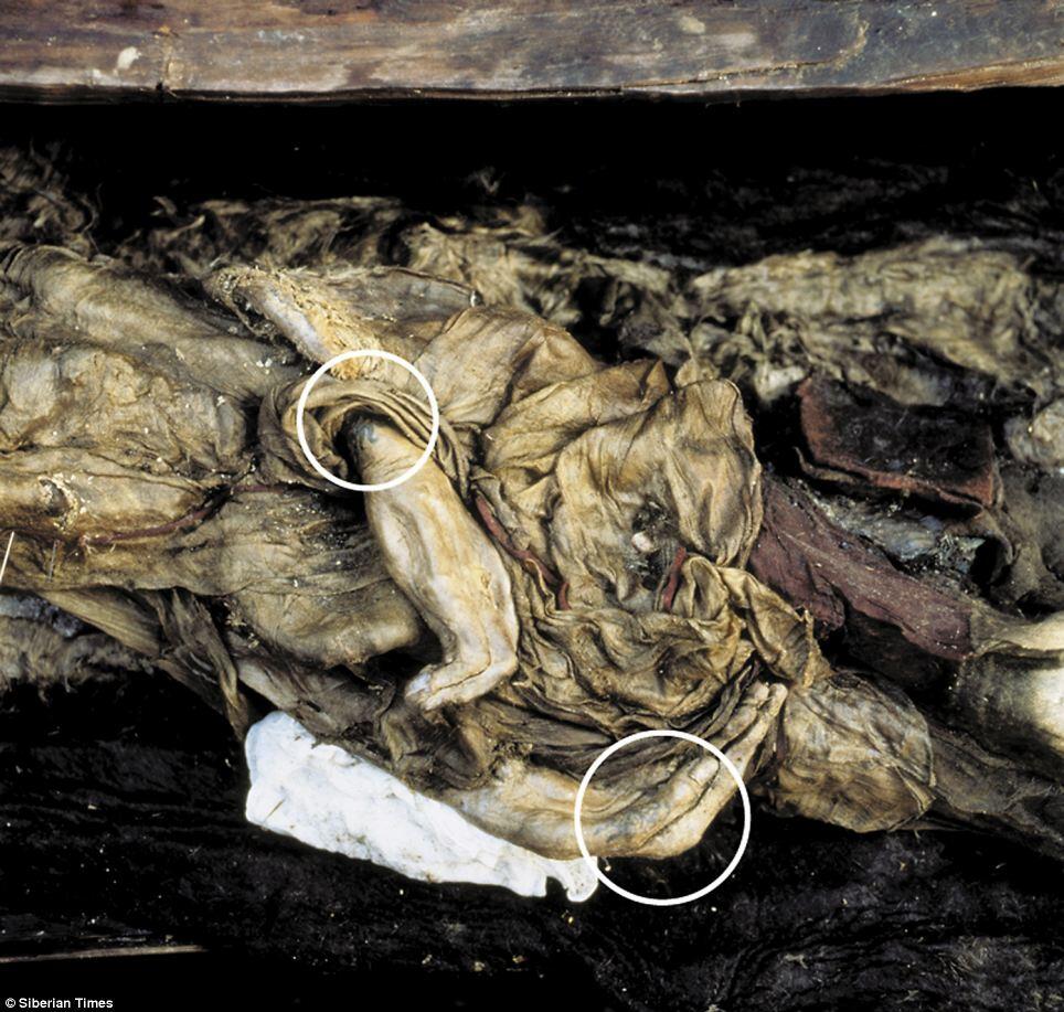 Tato Berumur 2500 Tahun Ditemukan Pada Mumi Putri Siberia