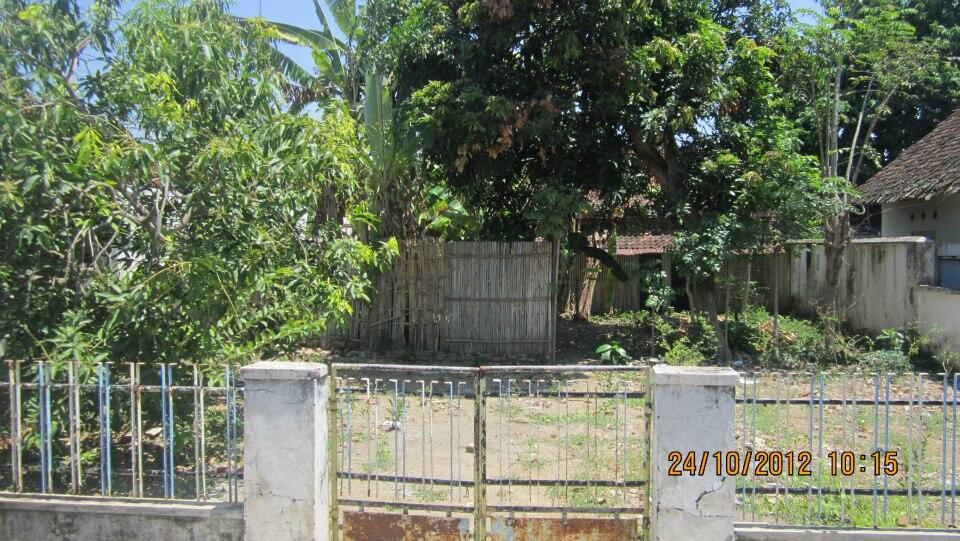Di Jual Tanah di Banyuwangi