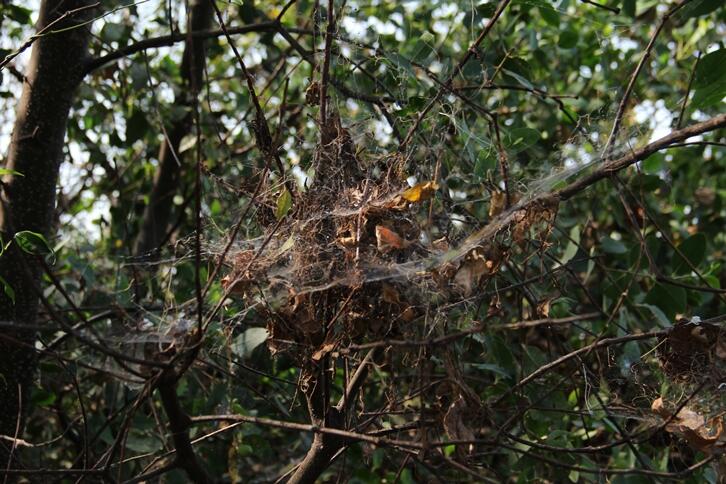 Hunted Photos (Sebuah koleksi foto seorang anak)