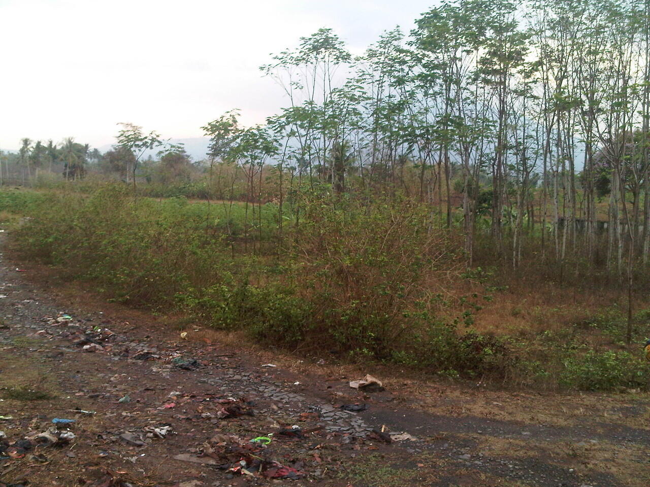 DI JUAL Tanah di Kalianda LAMPUNG SELATAN