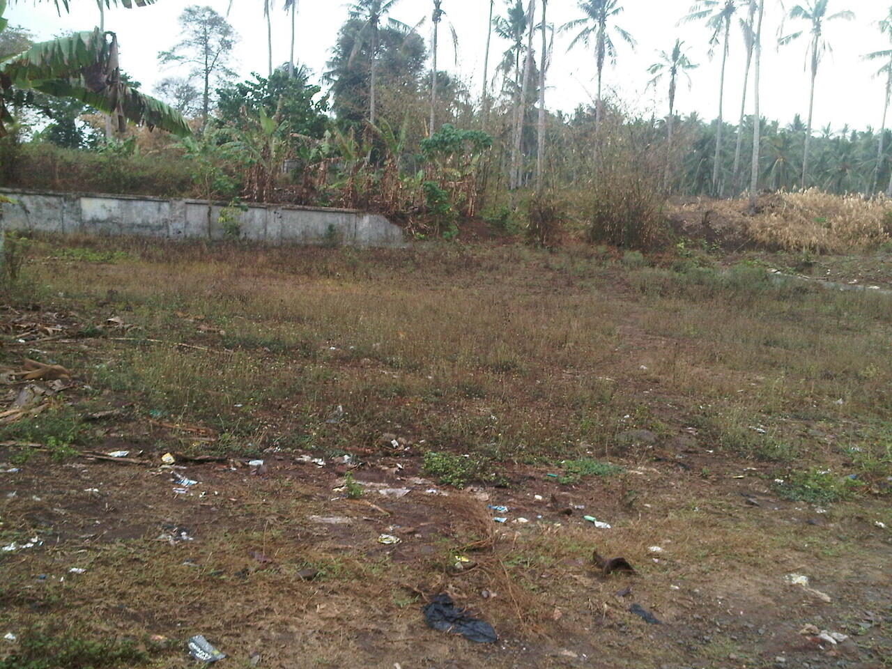 DI JUAL Tanah di Kalianda LAMPUNG SELATAN