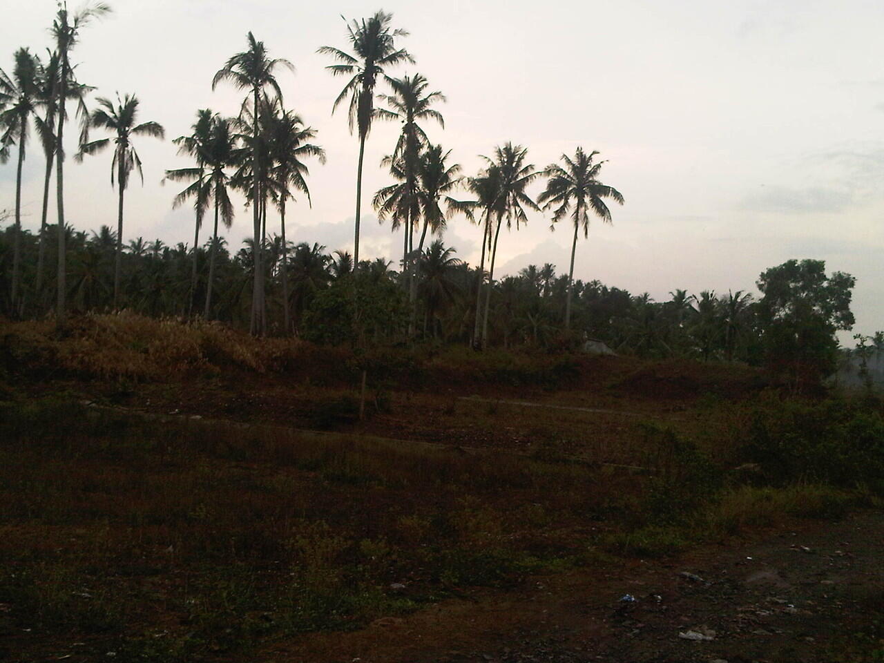 DI JUAL Tanah di Kalianda LAMPUNG SELATAN