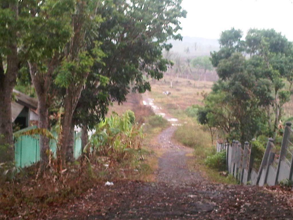 DI JUAL Tanah di Kalianda LAMPUNG SELATAN