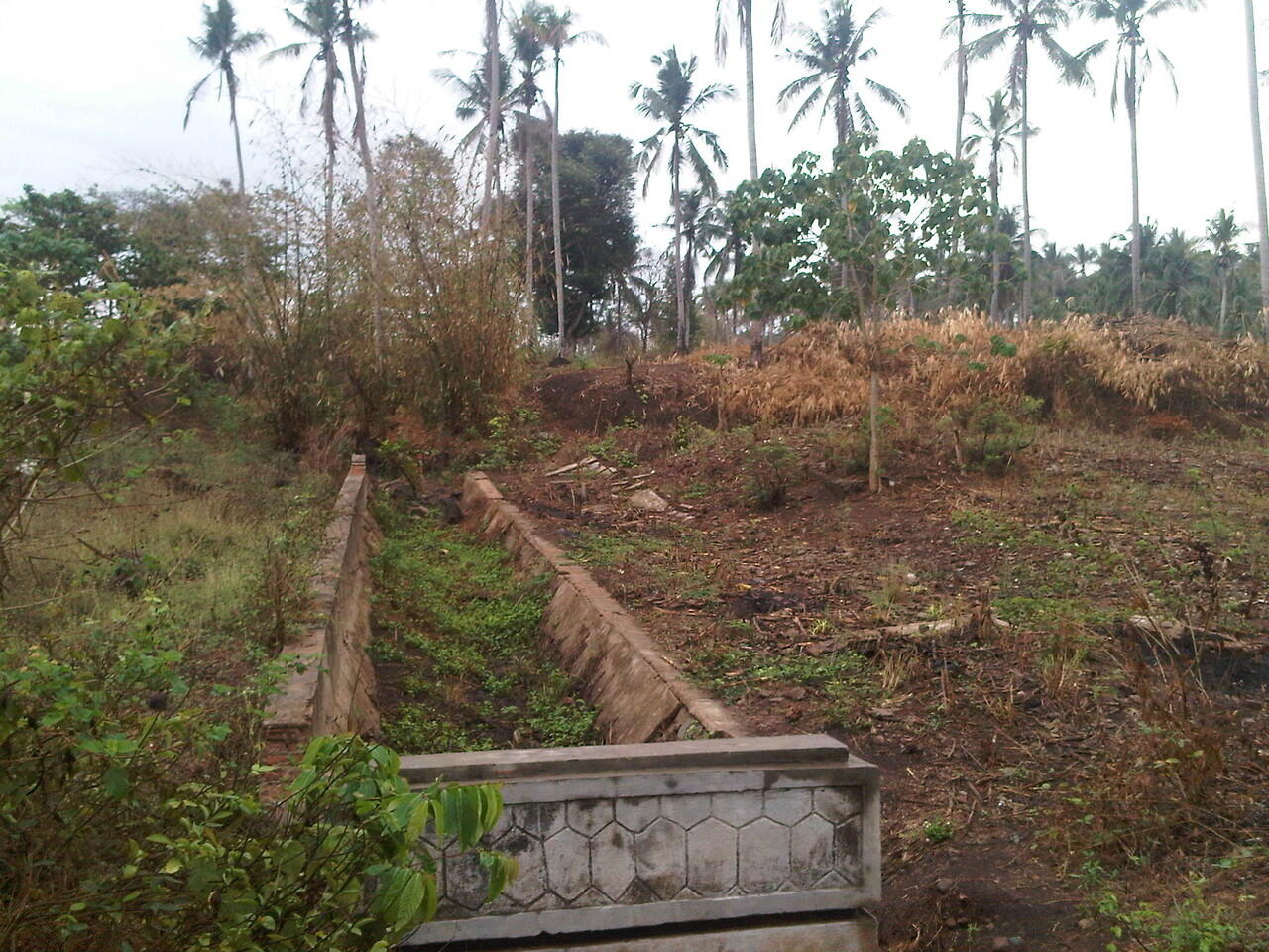 DI JUAL Tanah di Kalianda LAMPUNG SELATAN