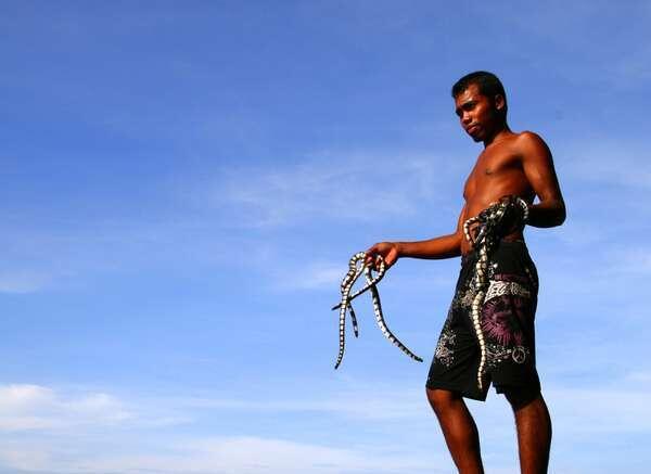 5 Pulau &quot;Hewan&quot; di Indonesia