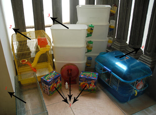 Jual aksesoris hamster second dan baru murah/ surabaya 