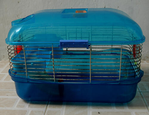 Jual aksesoris hamster second dan baru murah/ surabaya 