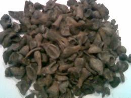 Cangkang Kelapa Sawit
