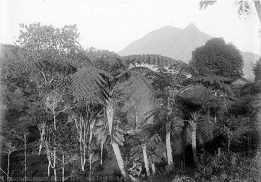 foto-foto suasana gunung Gunung Merbabu tahun 1910