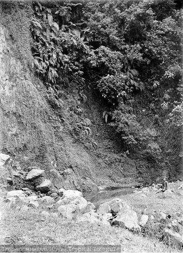 foto-foto suasana gunung Gunung Merbabu tahun 1910