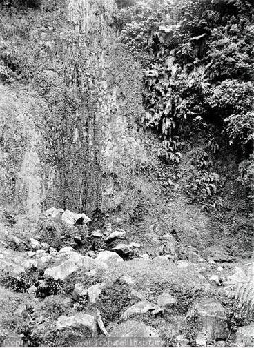 foto-foto suasana gunung Gunung Merbabu tahun 1910