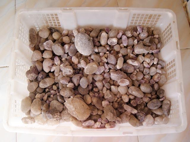 ( ON SALE ) BATU KECUBUNG ASLI KALIMANTAN