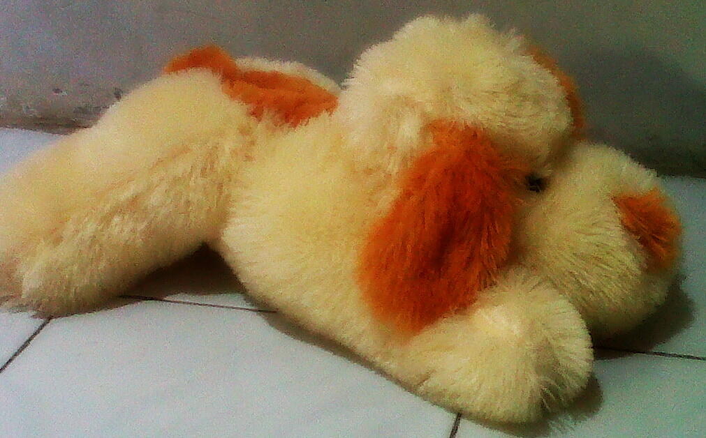 Boneka anjing murah