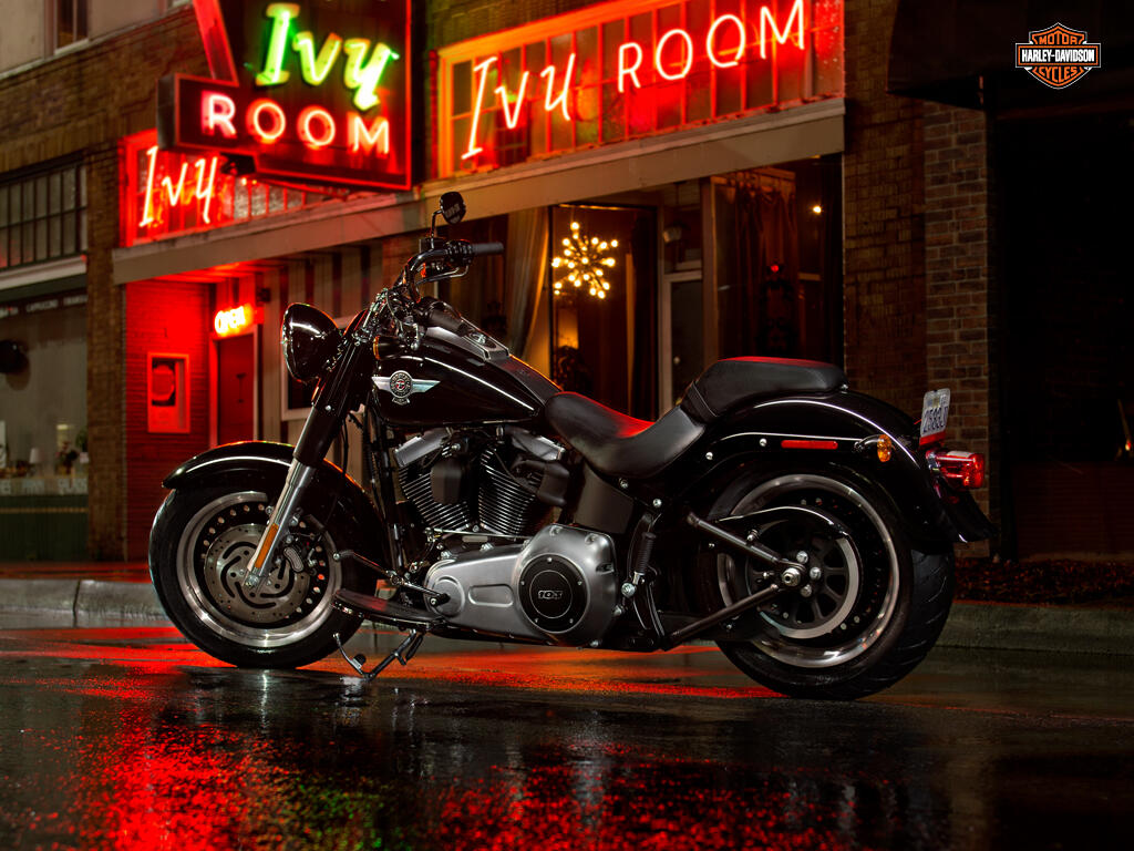 HARLEY-DAVIDSON &#91;full pict&#93; mangstab abis!!!!!