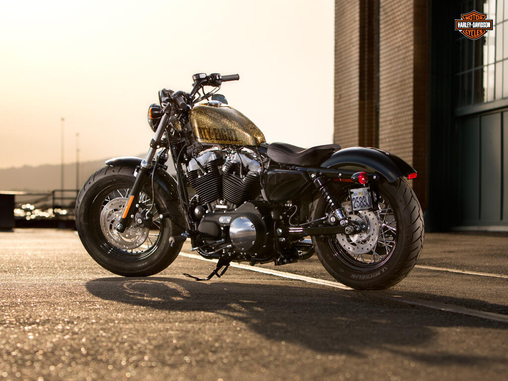 HARLEY-DAVIDSON &#91;full pict&#93; mangstab abis!!!!!