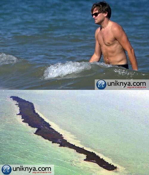 pulau selebriti (Semoga bukan Indonesia)