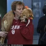 Anjing berkaki dua &quot;FAITH&quot; (Cerita Inspirasi)