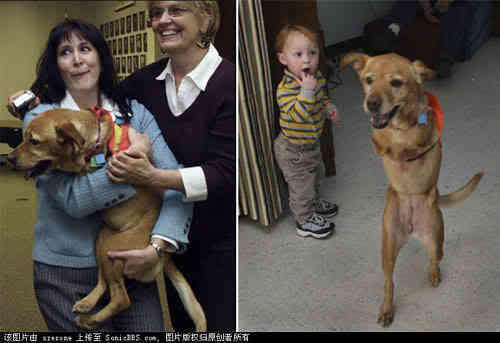 Anjing berkaki dua &quot;FAITH&quot; (Cerita Inspirasi)