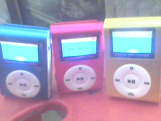 MP3 Player With LCD n FM Radio