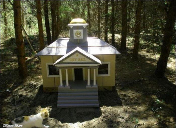 UNIK-perumahan kucing di florida