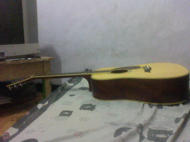 mohon bantuan buat sesepuh yang banyak tau tentang gitar