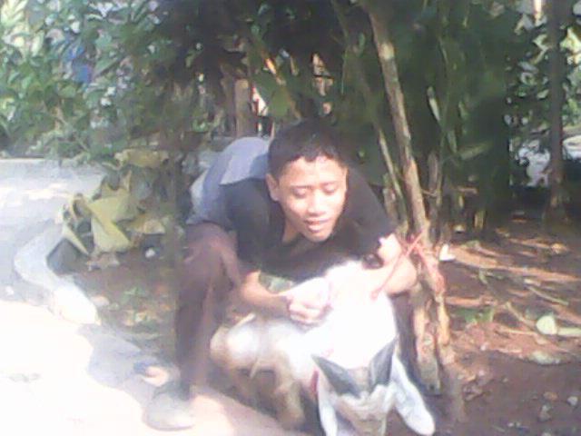 Muka Cabul