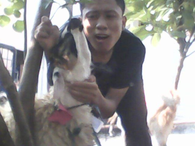 Muka Cabul