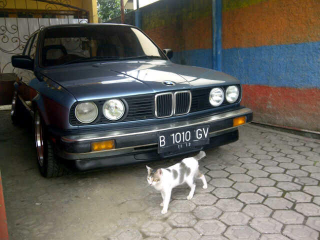 BMW M10 muluss