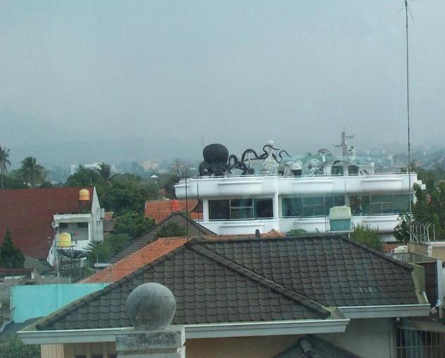 Di balik fenomena Rumah Gurita, Bandung